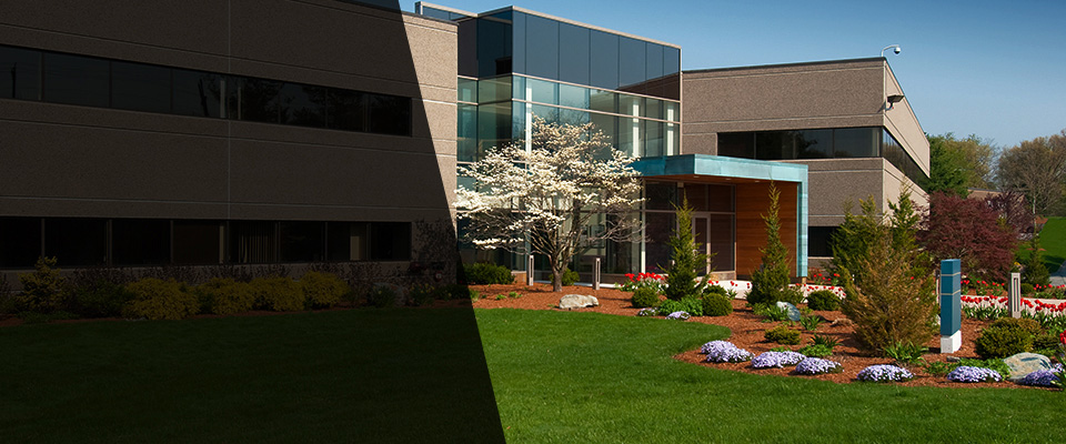 Greenback Landscapers