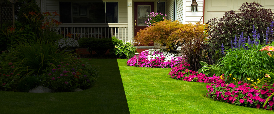 Greenback Landscapers