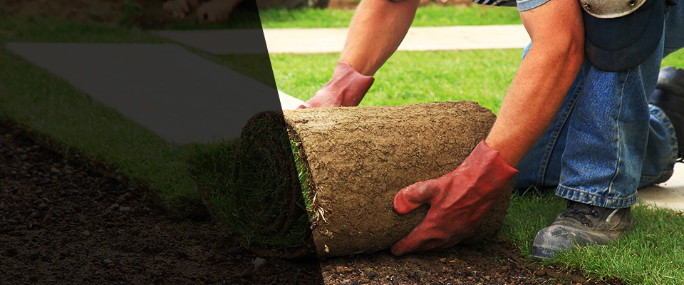 Greenback Landscapers